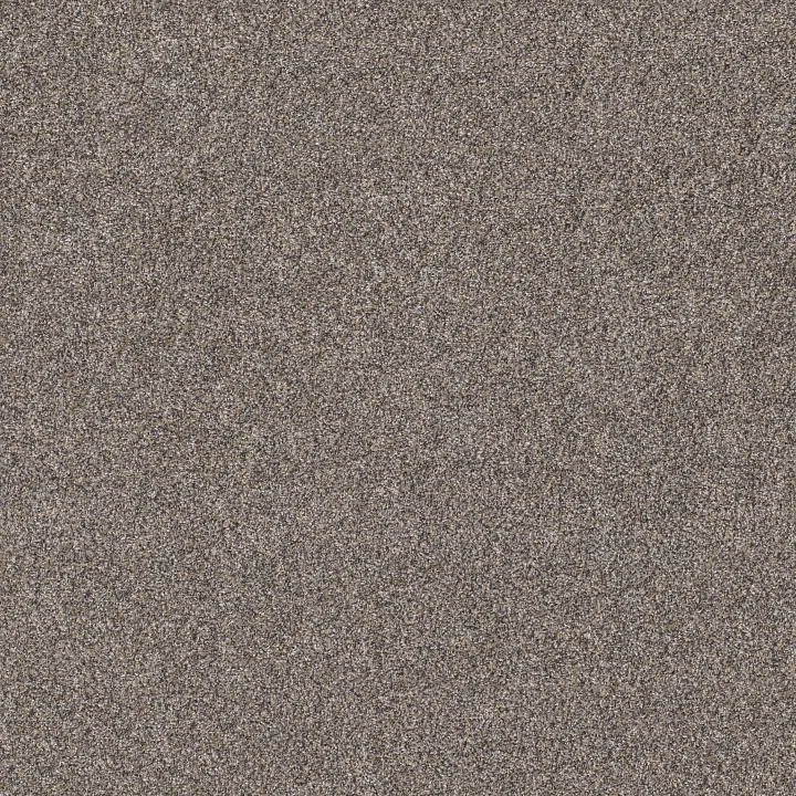 Shaw Floors Shake It Up (A) — Burnt Ash · E9446-00500 — flooring selection with LeviArs Design & Remodeling