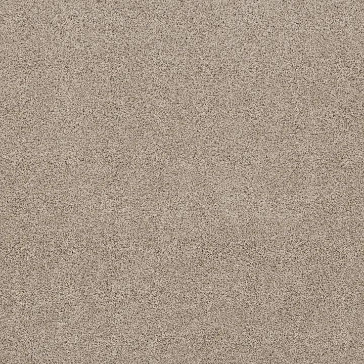 Shaw Floors Shake It Up (A) — Creamy Silk · E9446-00100 — flooring selection with LeviArs Design & Remodeling