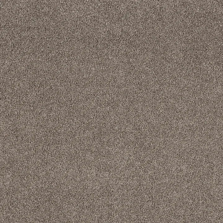 Shaw Floors Soft Effervescence — Nature Trail · 5E783-00700 — flooring selection with LeviArs Design & Remodeling