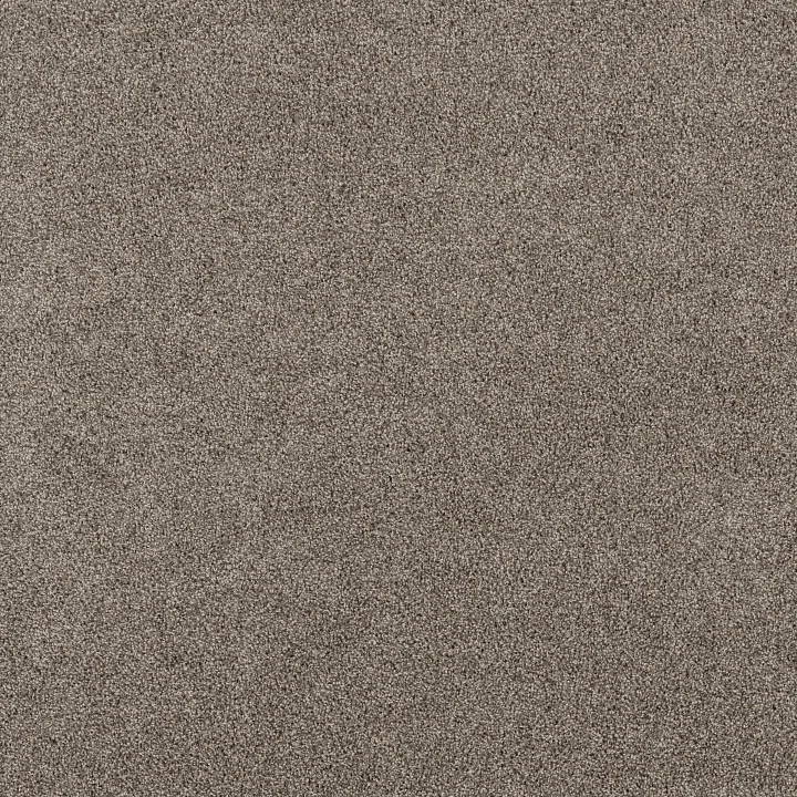 Shaw Floors Soft Effervescence — Nutria · 5E783-00102 — flooring selection with LeviArs Design & Remodeling