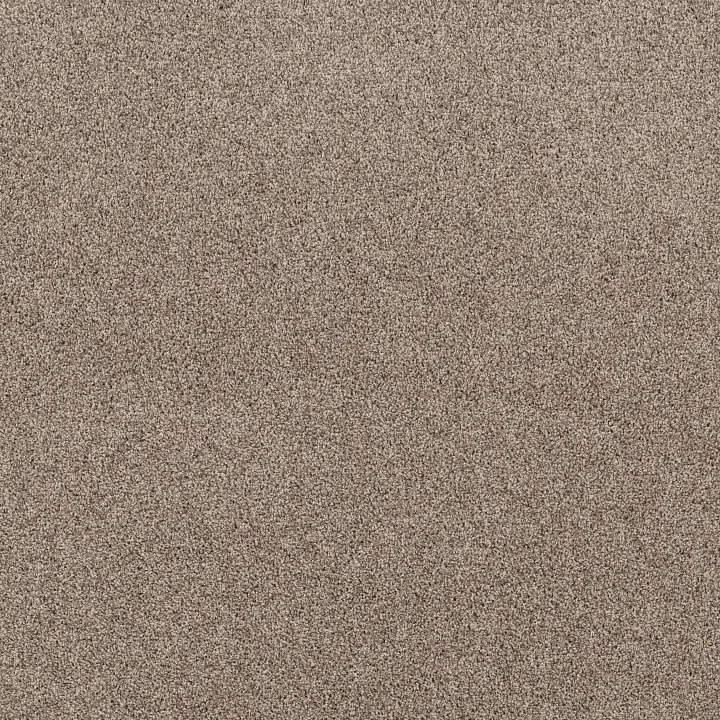Shaw Floors Soft Effervescence — Folklore · 5E783-00101 — flooring selection with LeviArs Design & Remodeling