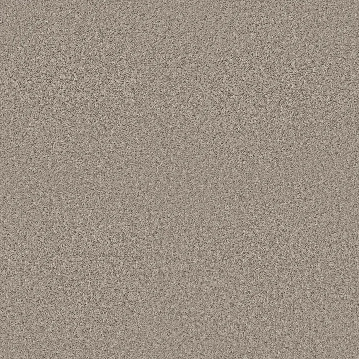 Shaw Floors Shake It Up (S) — Beech · E9699-00112 — flooring selection with LeviArs Design & Remodeling
