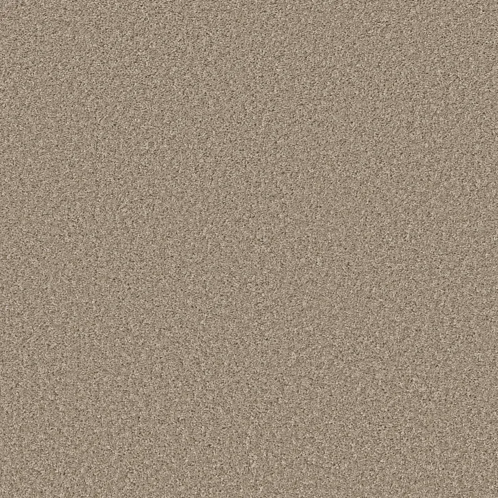 Shaw Floors Shake It Up (S) — Breeze · E9699-00111 — flooring selection with LeviArs Design & Remodeling