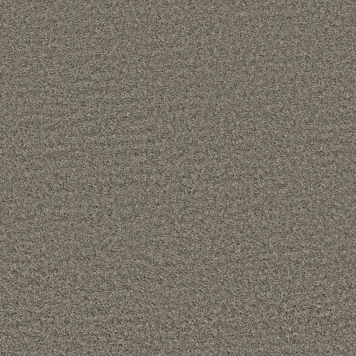 Shaw Floors Shake It Up (S) — Cement · E9699-00510 — flooring selection with LeviArs Design & Remodeling