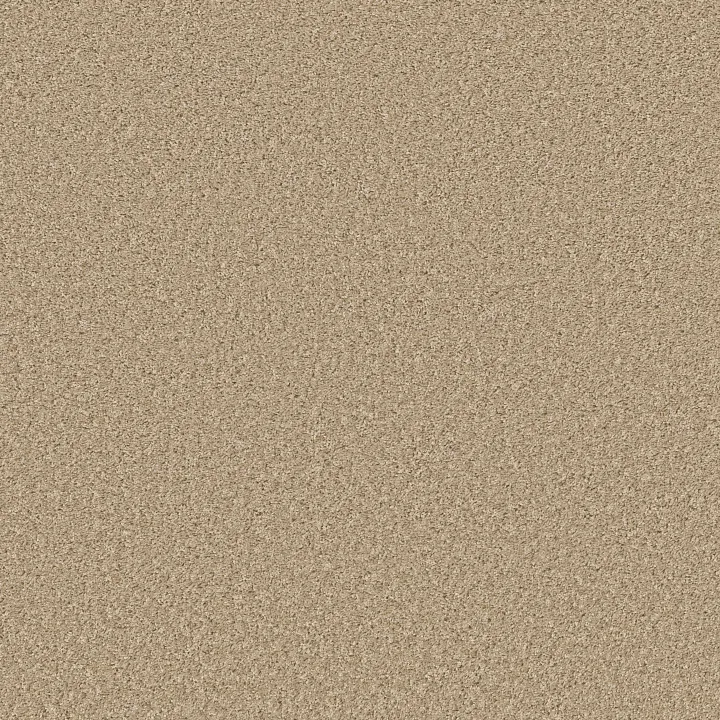 Shaw Floors Shake It Up (S) — Desert Sand · E9699-00210 — flooring selection with LeviArs Design & Remodeling