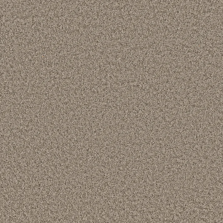 Shaw Floors Shake It Up (S) — Forever Pewter · E9699-00710 — flooring selection with LeviArs Design & Remodeling
