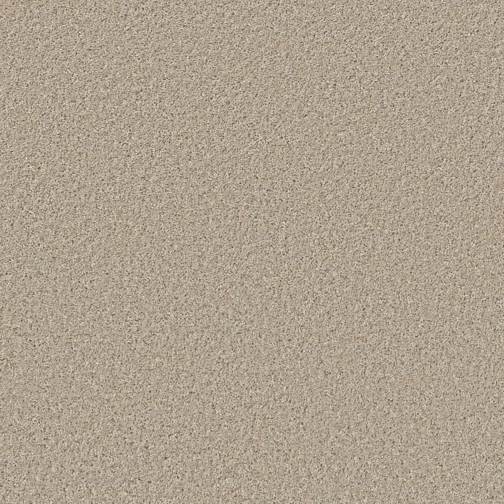 Shaw Floors Shake It Up (S) — Sea Floor · E9699-00110 — flooring selection with LeviArs Design & Remodeling