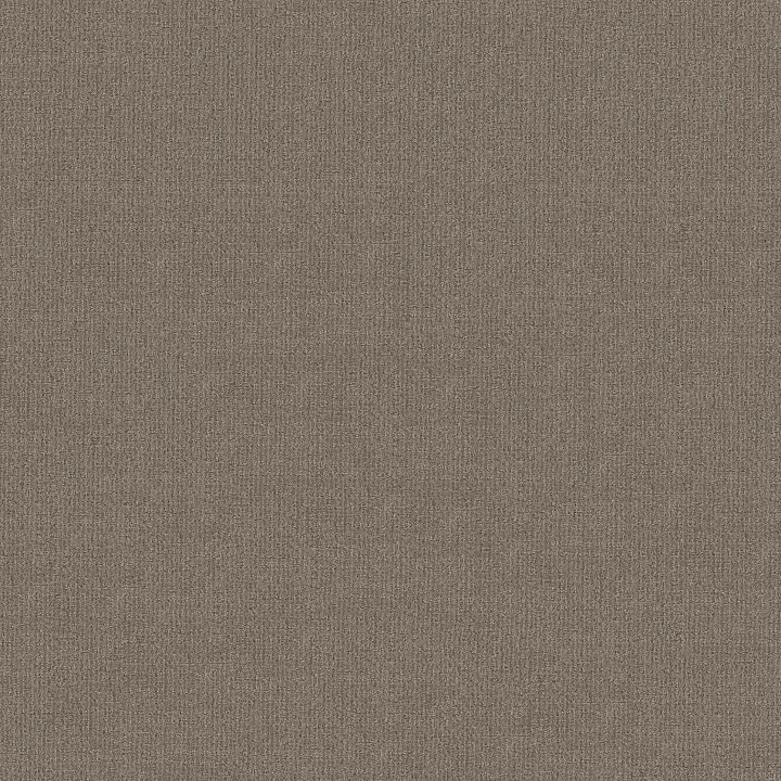 Shaw Floors Sierra Vista — Arrowhead · 5E824-00751 — flooring selection with LeviArs Design & Remodeling