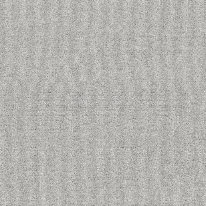 Shaw Floors Sierra Vista — Classic Silver · 5E824-00550 — flooring selection with LeviArs Design & Remodeling