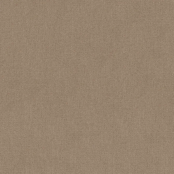 Shaw Floors Sierra Vista — Leather · 5E824-00750 — flooring selection with LeviArs Design & Remodeling