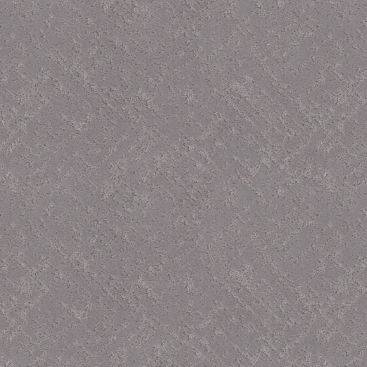 Shaw Floors Sincere Focus — Anchor · 5E828-00509 — flooring selection with LeviArs Design & Remodeling