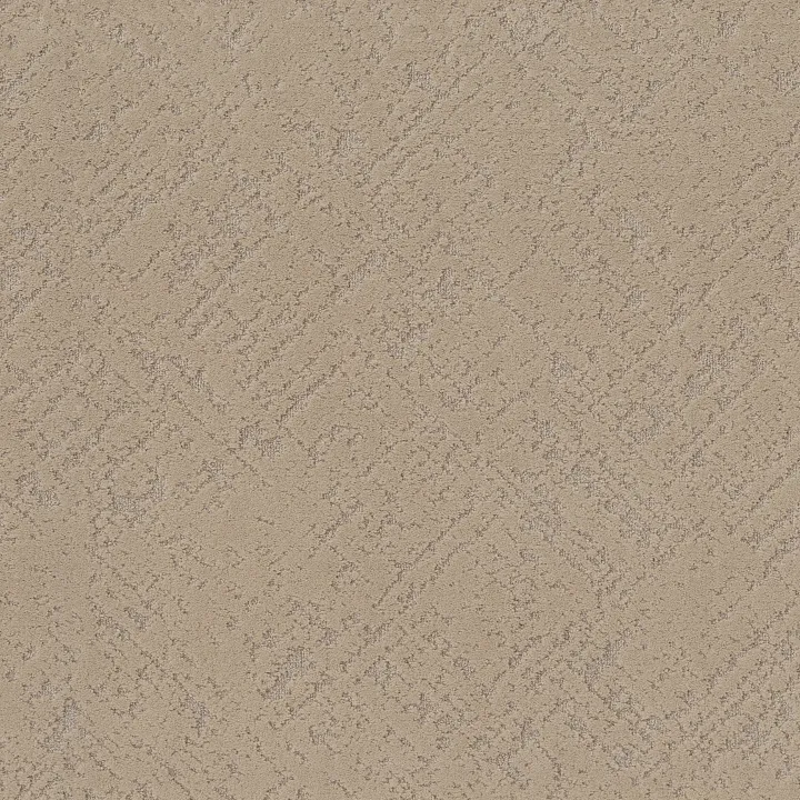 Shaw Floors Sincere Focus — Straw Hat · 5E828-00700 — flooring selection with LeviArs Design & Remodeling