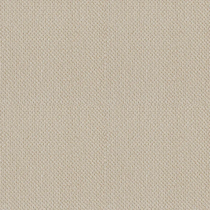 Shaw Floors Smart Thinking — Alabaster · E9725-00172 — flooring selection with LeviArs Design & Remodeling
