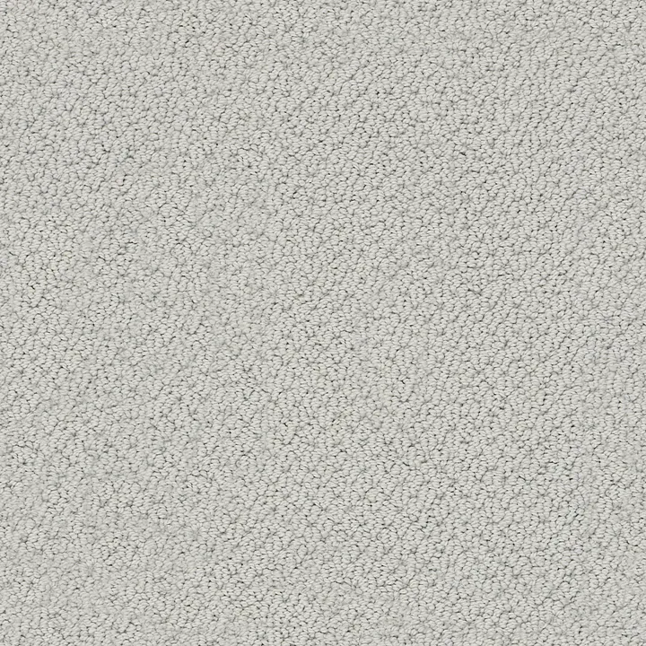 Shaw Floors Smart Thinking — Cloudy Day · E9725-00594 — flooring selection with LeviArs Design & Remodeling