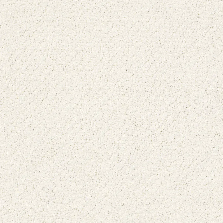Shaw Floors Smart Thinking — Crisp Linen · E9725-00171 — flooring selection with LeviArs Design & Remodeling