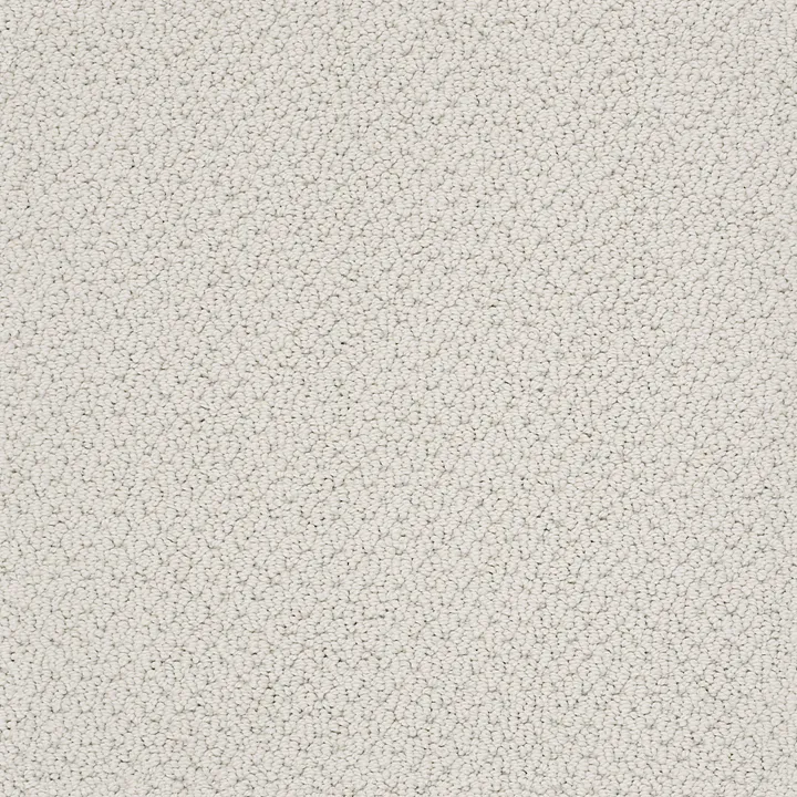 Shaw Floors Smart Thinking — Morning Mist · E9725-00591 — flooring selection with LeviArs Design & Remodeling