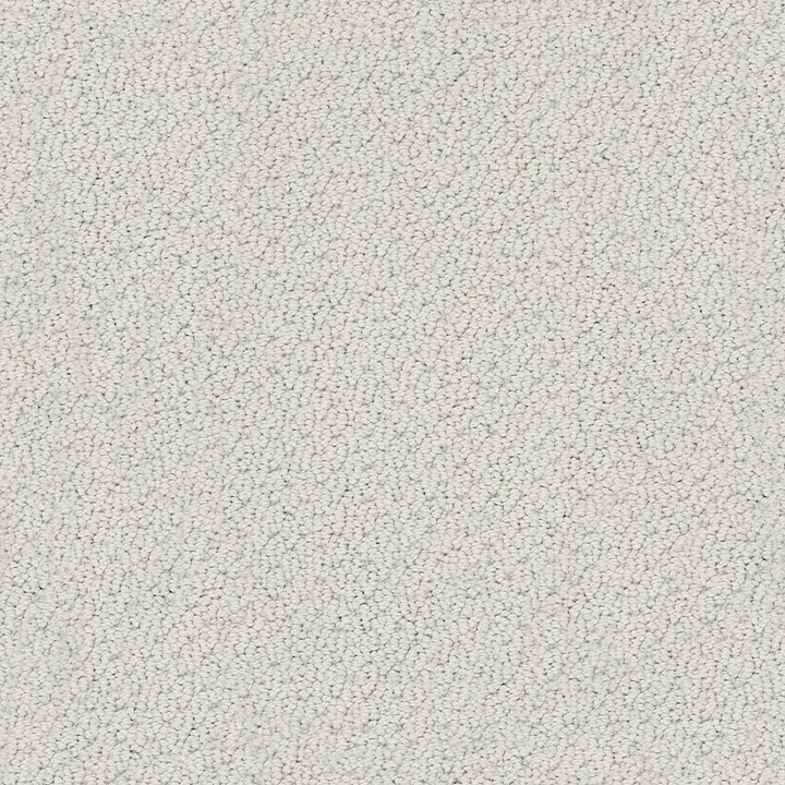 Shaw Floors Smart Thinking — Silver Charm · E9725-00560 — flooring selection with LeviArs Design & Remodeling
