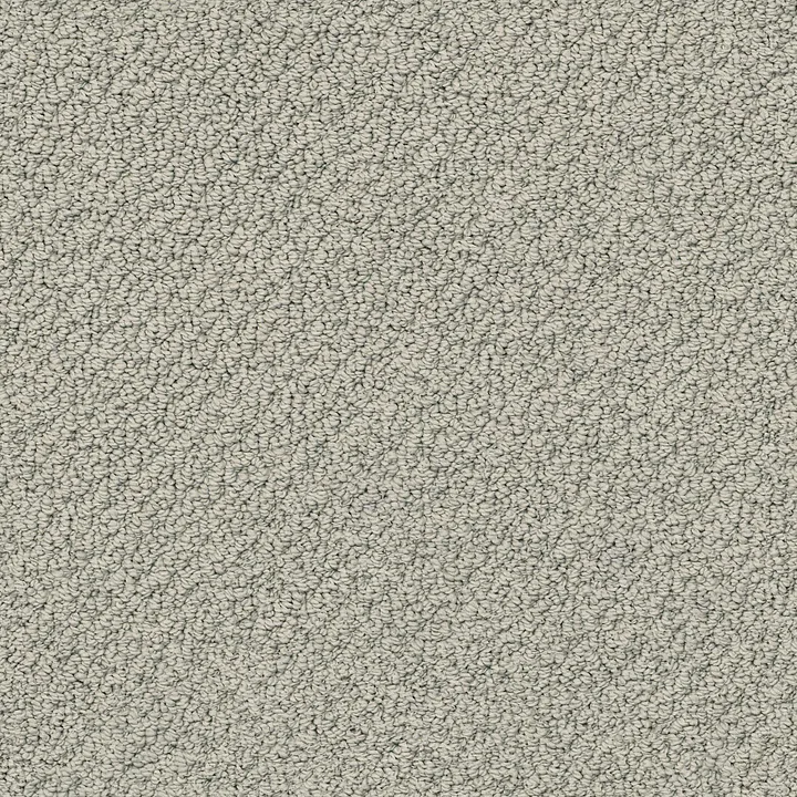 Shaw Floors Smart Thinking — Slate · E9725-00570 — flooring selection with LeviArs Design & Remodeling