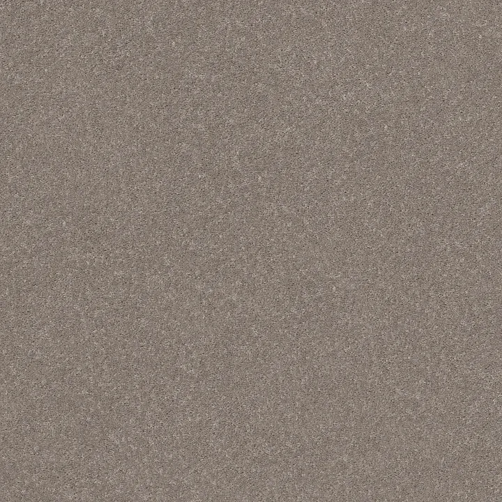 Shaw Floors Smooth Talk I — Anew Grey · 5E540-00702 — flooring selection with LeviArs Design & Remodeling