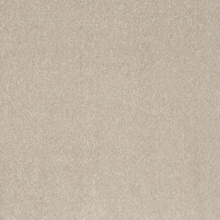 Shaw Floors Smooth Talk I — Angel Cloud · 5E540-00102 — flooring selection with LeviArs Design & Remodeling