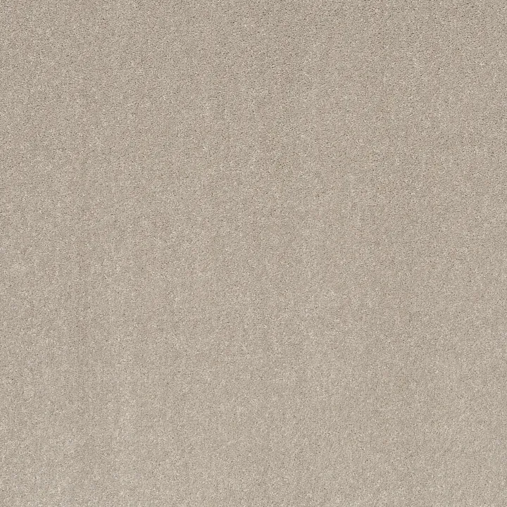 Shaw Floors Smooth Talk I — Bare Mineral · 5E540-00105 — flooring selection with LeviArs Design & Remodeling