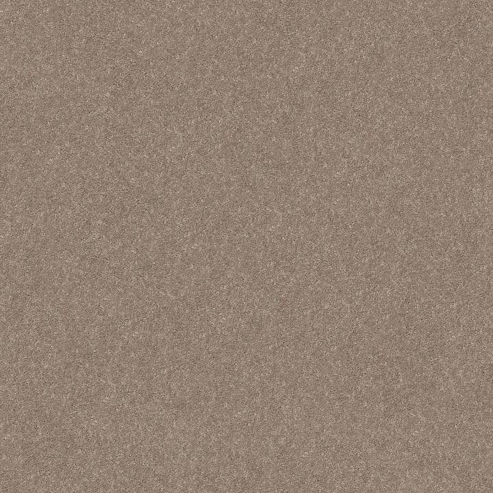 Shaw Floors Smooth Talk I — Buffington · 5E540-00700 — flooring selection with LeviArs Design & Remodeling
