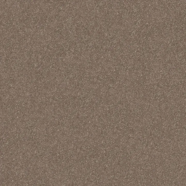 Shaw Floors Smooth Talk I — Cedar Key · 5E540-00701 — flooring selection with LeviArs Design & Remodeling