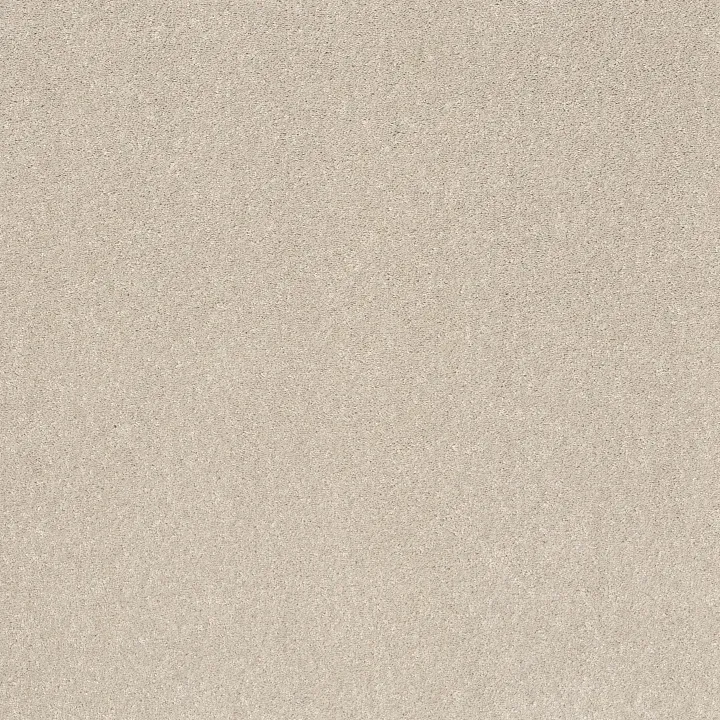 Shaw Floors Smooth Talk I — Halo · 5E540-00100 — flooring selection with LeviArs Design & Remodeling