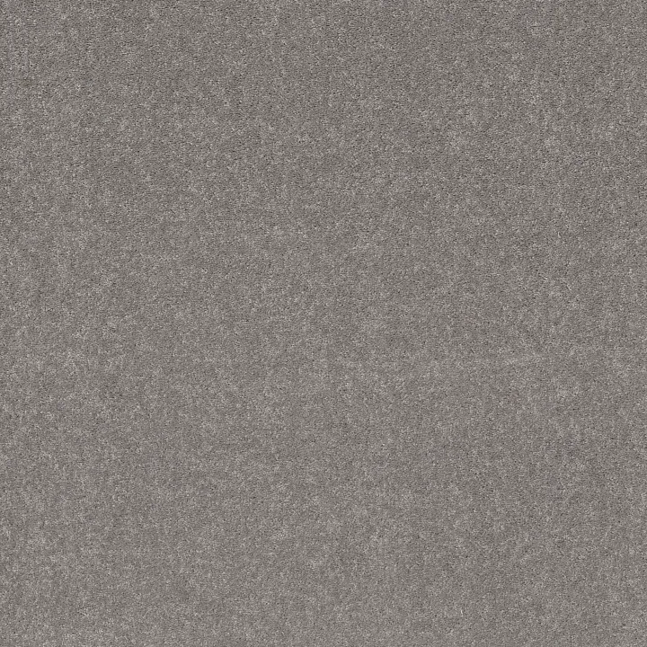 Shaw Floors Smooth Talk I — Ink Spot · 5E540-00501 — flooring selection with LeviArs Design & Remodeling
