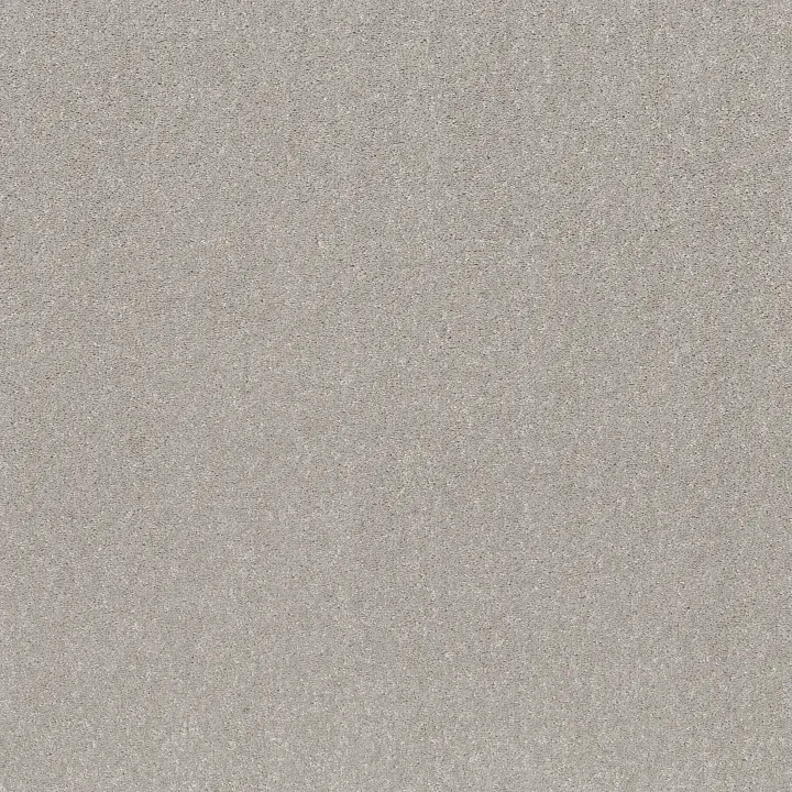 Shaw Floors Smooth Talk I — Silver Mist · 5E540-00540 — flooring selection with LeviArs Design & Remodeling