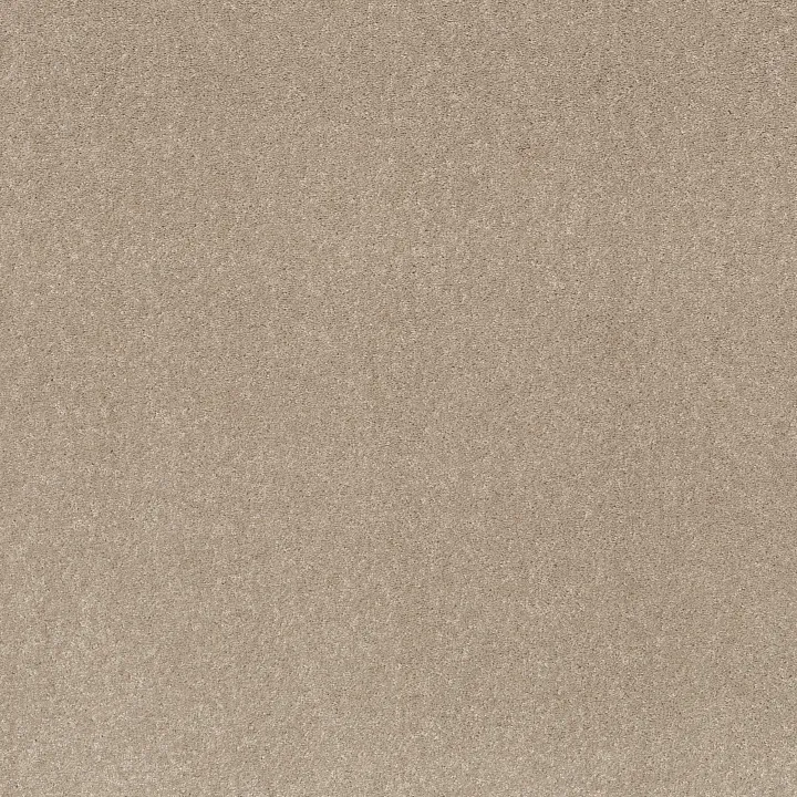 Shaw Floors Smooth Talk I — Tassel · 5E540-00107 — flooring selection with LeviArs Design & Remodeling