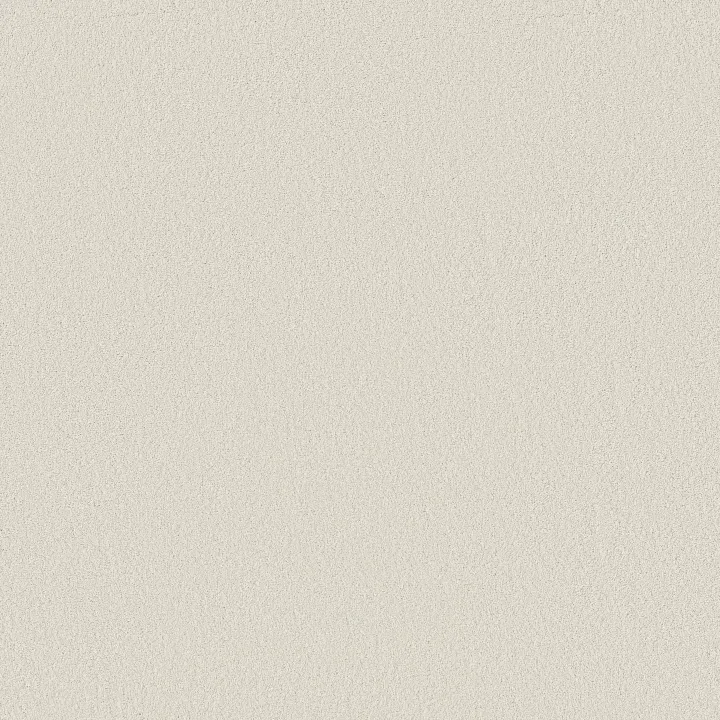 Shaw Floors Smooth Tone Blue — Alpine Snow · 5E935-00150 — flooring selection with LeviArs Design & Remodeling