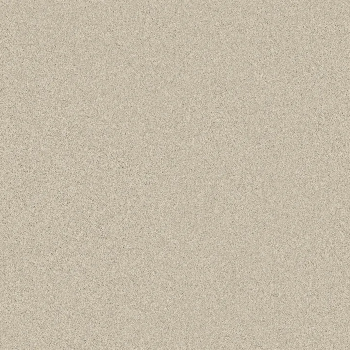 Shaw Floors Smooth Tone — Baja · 5E914-00106 — flooring selection with LeviArs Design & Remodeling