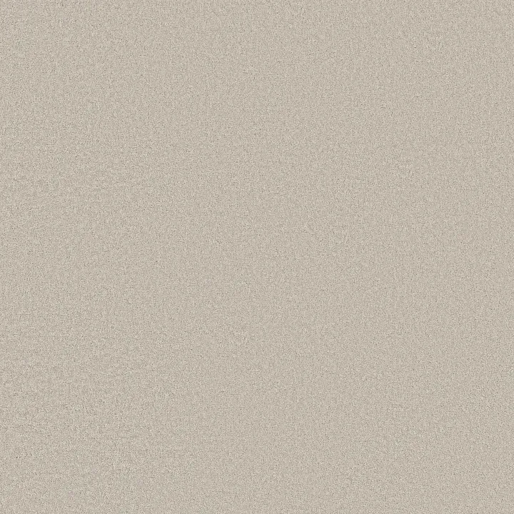 Shaw Floors Smooth Tone Blue — Cool Winter · 5E935-00107 — flooring selection with LeviArs Design & Remodeling