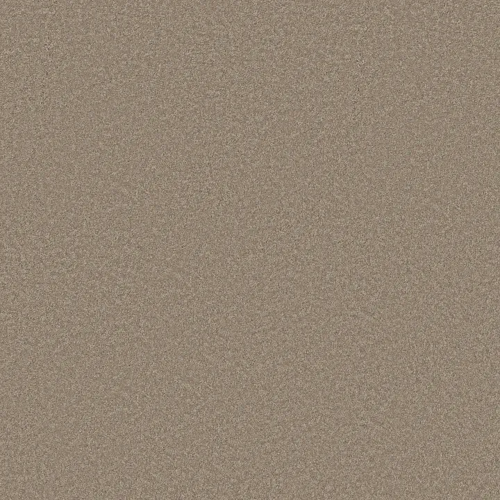 Shaw Floors Smooth Tone Blue — Latte · 5E935-00700 — flooring selection with LeviArs Design & Remodeling