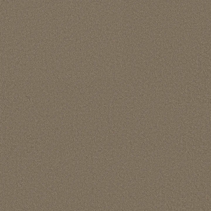 Shaw Floors Smooth Tone — Natural Stone · 5E914-00704 — flooring selection with LeviArs Design & Remodeling