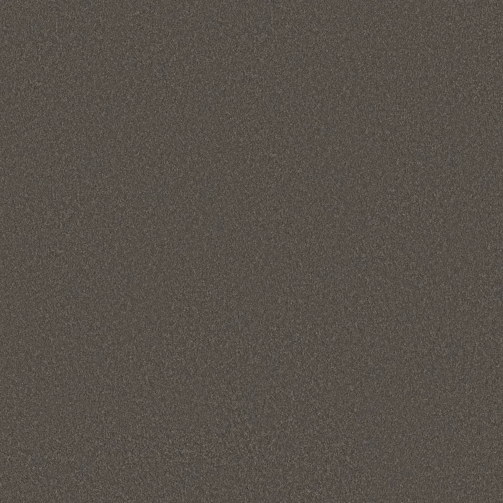 Shaw Floors Smooth Tone — Night Owl · 5E914-00750 — flooring selection with LeviArs Design & Remodeling