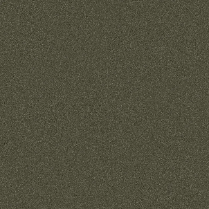 Shaw Floors Smooth Tone Blue — Olive Tree · 5E935-00300 — flooring selection with LeviArs Design & Remodeling