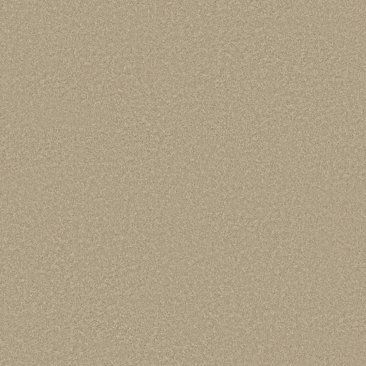 Shaw Floors Smooth Tone Blue — Safari · 5E935-00110 — flooring selection with LeviArs Design & Remodeling