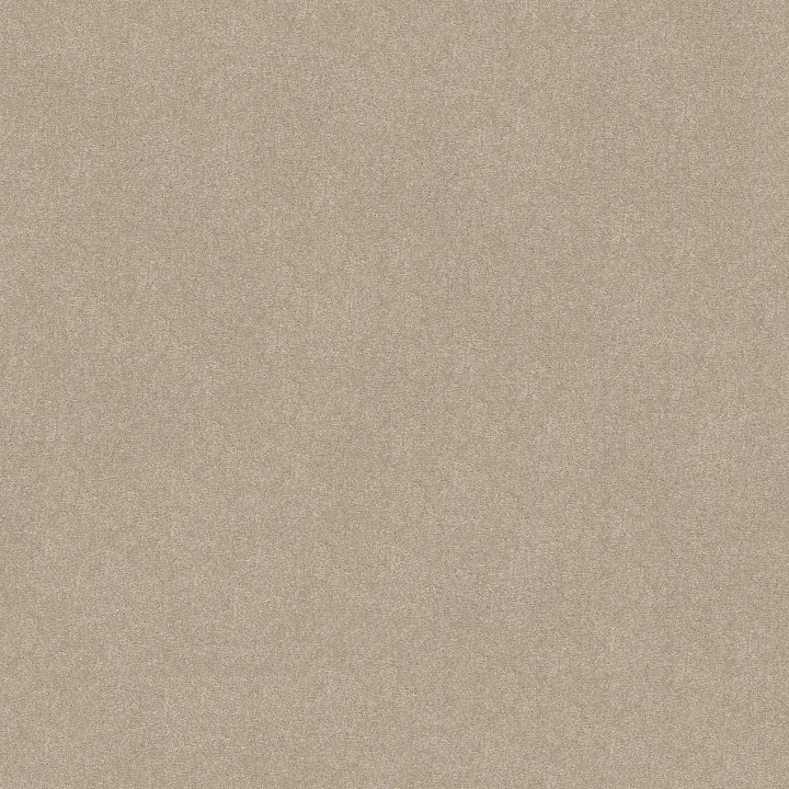 Shaw Floors Easy Spirit I 12' — Dreamy · 5E864-00103 — flooring selection with LeviArs Design & Remodeling