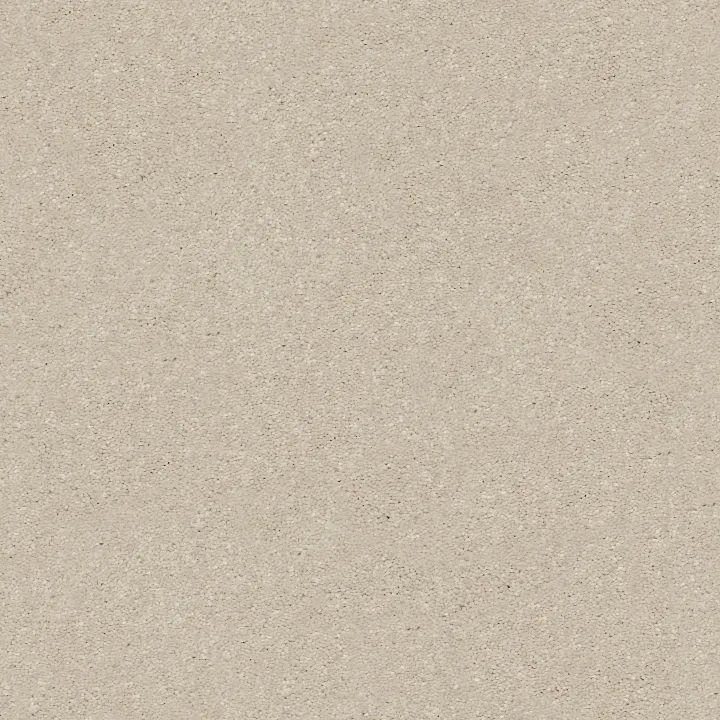 Shaw Floors Solidify I 15' — Bleached · 5E263-00101 — flooring selection with LeviArs Design & Remodeling