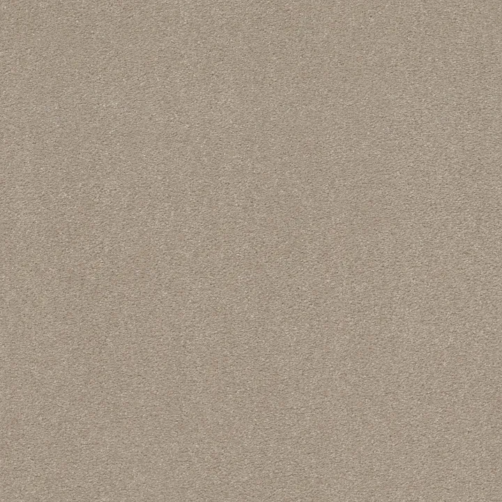 Shaw Floors Solidify I 15' — Dreamy · 5E263-00103 — flooring selection with LeviArs Design & Remodeling