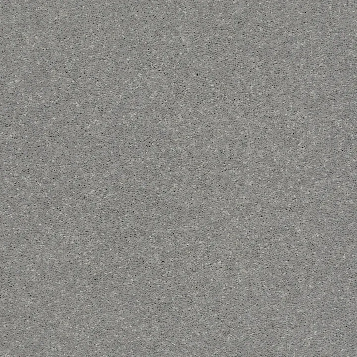 Shaw Floors Solidify II 15' — Dusty Trail · 5E265-00503 — flooring selection with LeviArs Design & Remodeling