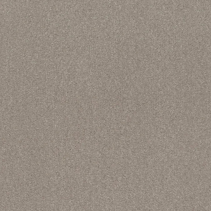 Shaw Floors Solidify II 15' — Greige · 5E265-00106 — flooring selection with LeviArs Design & Remodeling