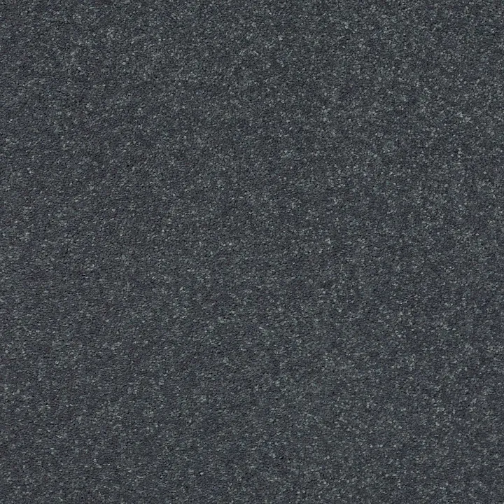Shaw Floors Solidify II 15' — Iron · 5E265-00501 — flooring selection with LeviArs Design & Remodeling