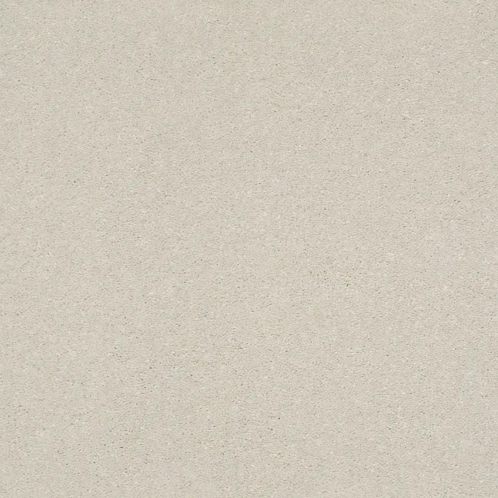 Shaw Floors Solidify I 15' — Minimalist · 5E263-00100 — flooring selection with LeviArs Design & Remodeling