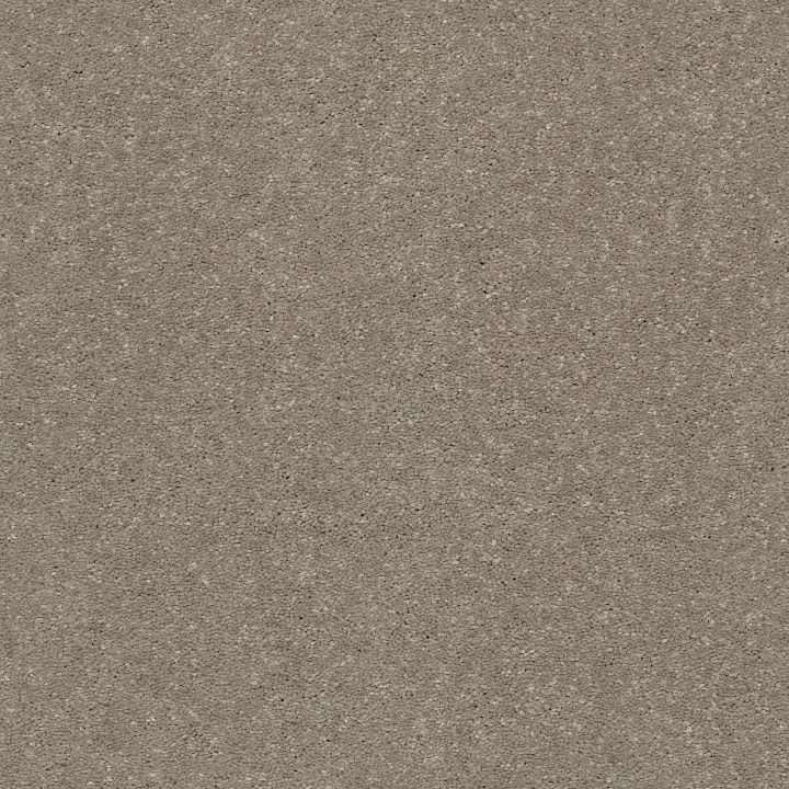 Shaw Floors Solidify I 15' — Natural Contour · 5E263-00104 — flooring selection with LeviArs Design & Remodeling