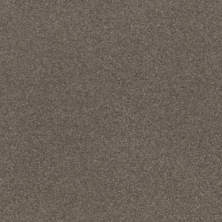 Shaw Floors Solidify II 15' — Pewter · 5E265-00701 — flooring selection with LeviArs Design & Remodeling
