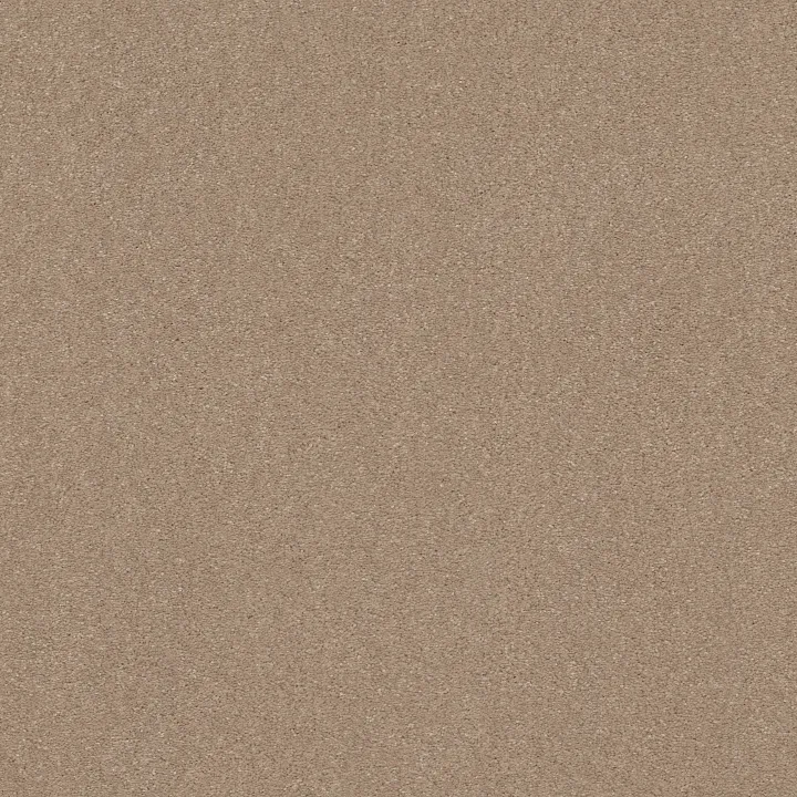 Shaw Floors Solidify I 15' — Raw Lumber · 5E263-00102 — flooring selection with LeviArs Design & Remodeling