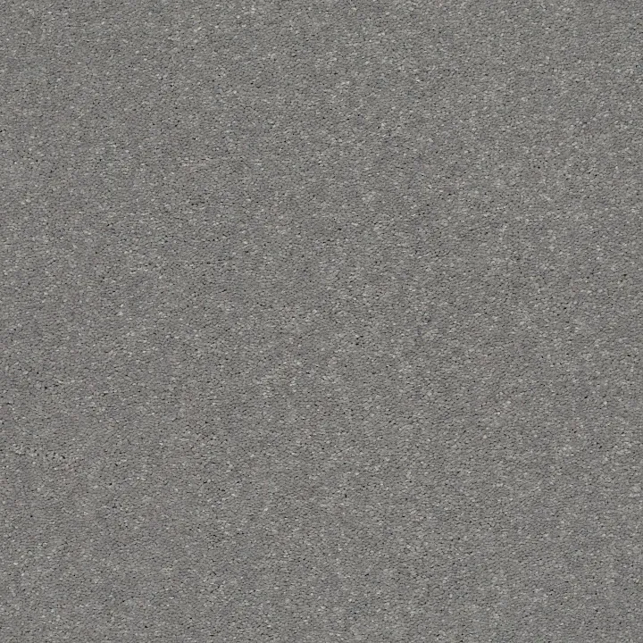 Shaw Floors Solidify II 15' — Taupe Stone · 5E265-00502 — flooring selection with LeviArs Design & Remodeling